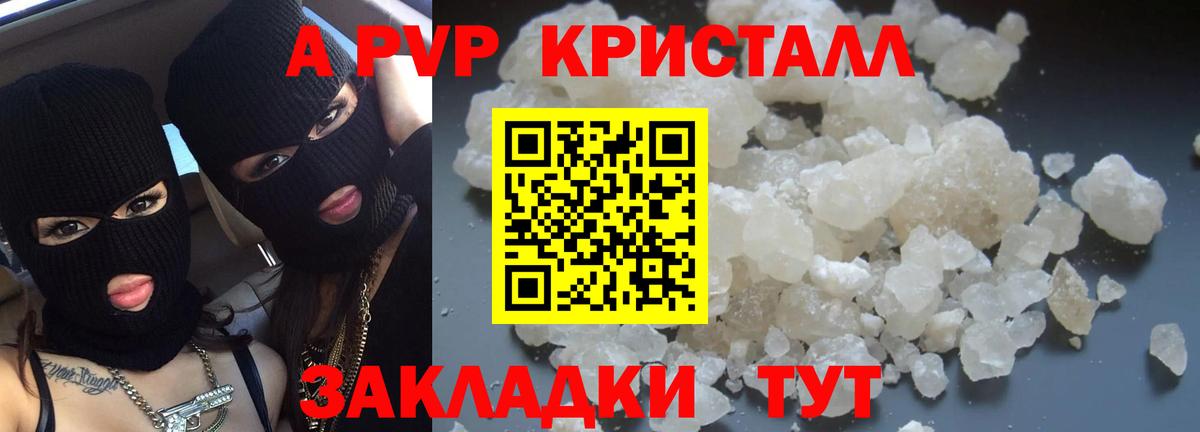 Alpha PVP СК  Вход с VPN  где найти   Свободный  А ПВП VHQ 