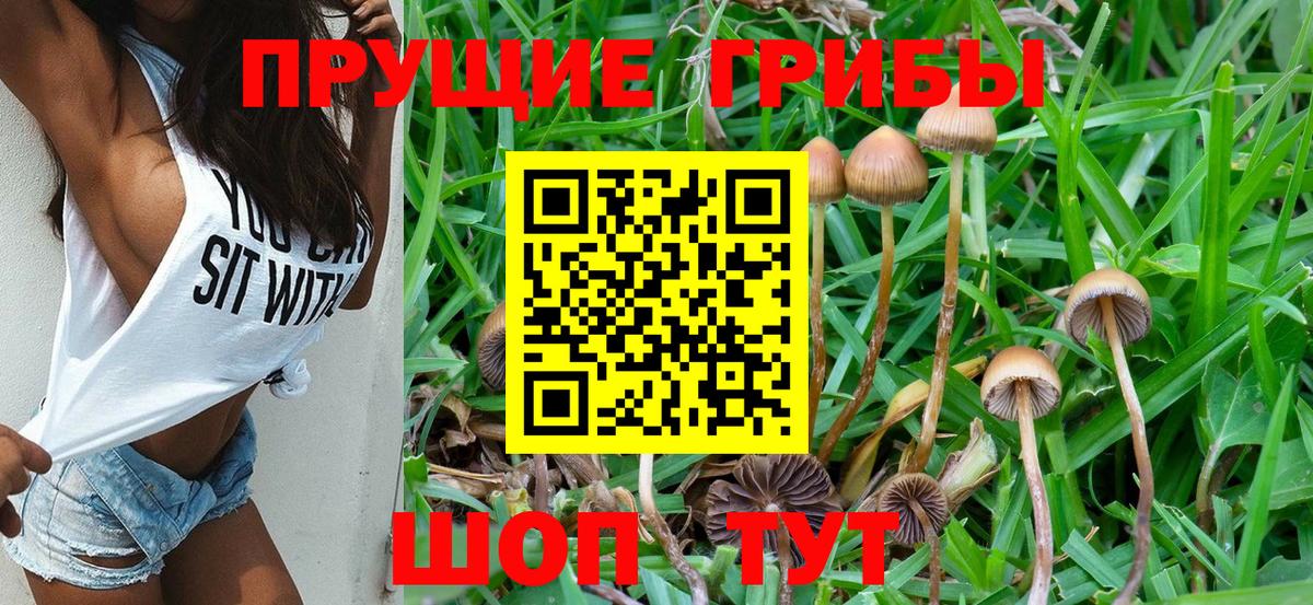 Галлюциногенные грибы ЛСД  Вход с VPN  Свободный 