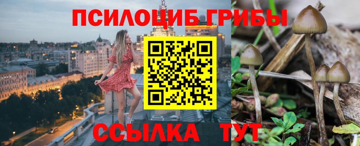 Псилоцибиновые грибы мухоморы Свободный